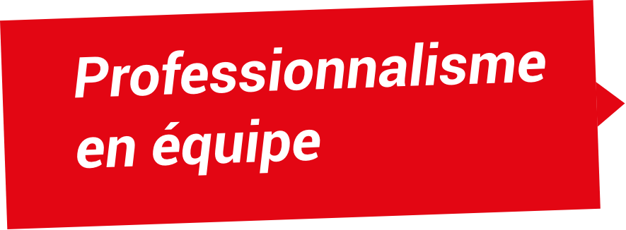 Professionnalisme en équipe